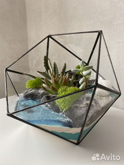 Флорариум с суккулентами и водоемом