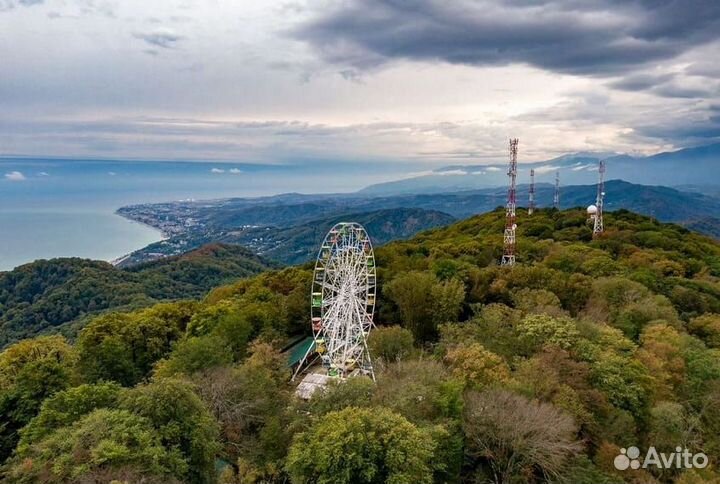 Индивидуальная обзорная экскурсия Сочи