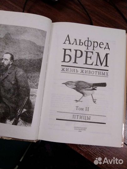 Для пановой