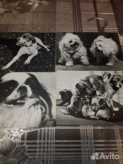 Набор открыток СССР