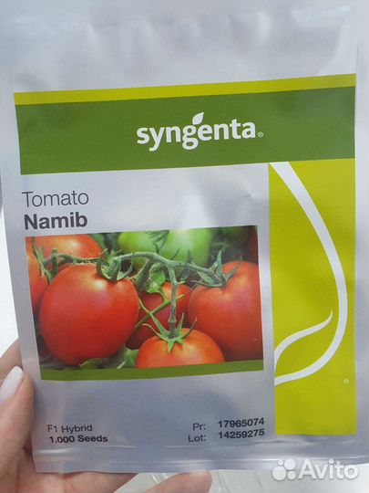 Семена томат Намиб 1 000с Сингента