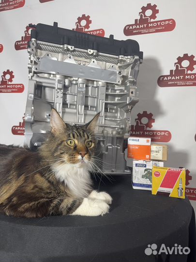 Новый двигатель Hyundai Solaris, Kia Rio 1.4 G4FA