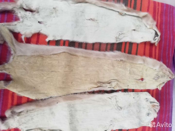 Вооротники из норки