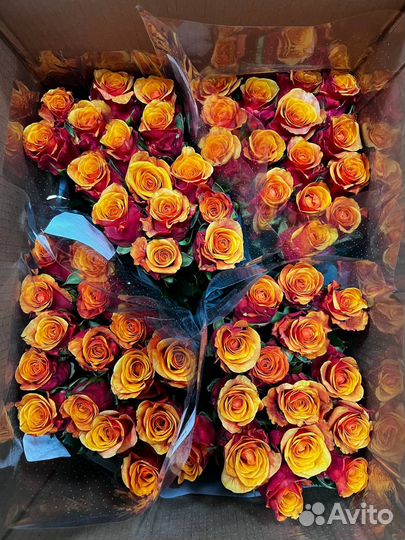 Цветы оптом - розы оптом