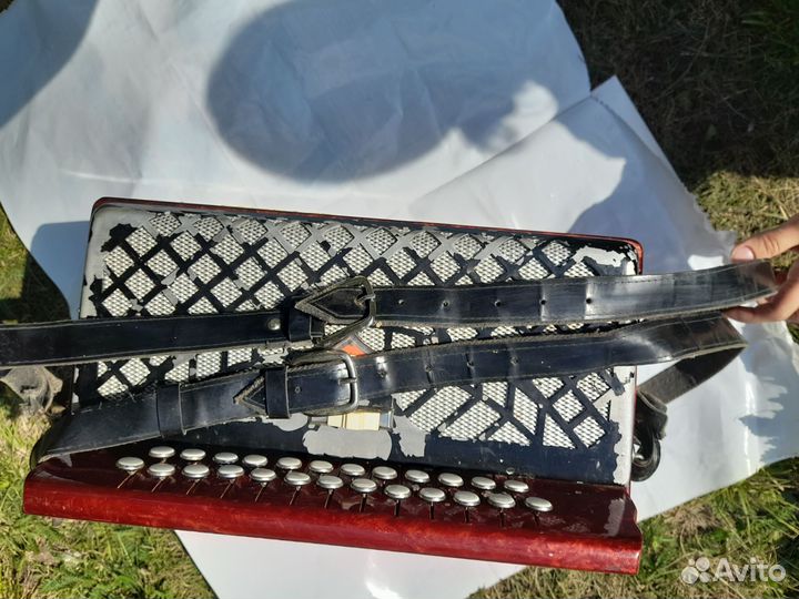 Гармонь чайка