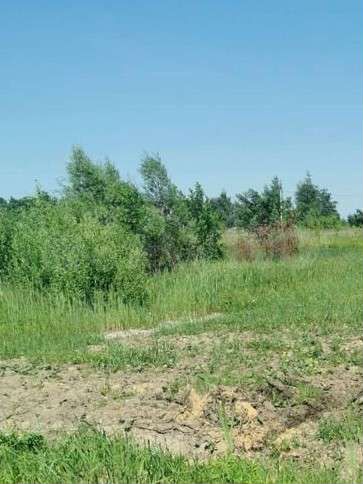 Участок 15 сот. (ИЖС)