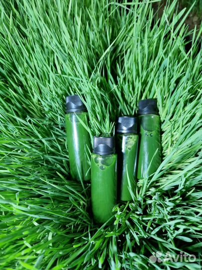 Сок из ростков пшеницы Витграсс