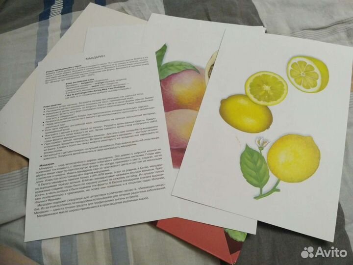 Новые развивающие книжки 3+