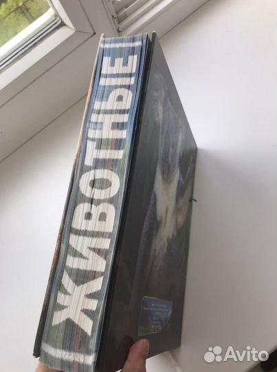 Энциклопедия для детей