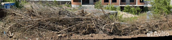 Дрова беслатно