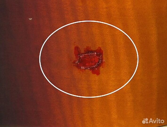 Takamine dsp 215 Акустическая гитара