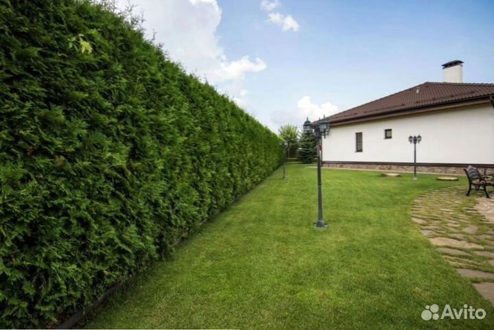 Рулонный газон Premium. Доставка, укладка