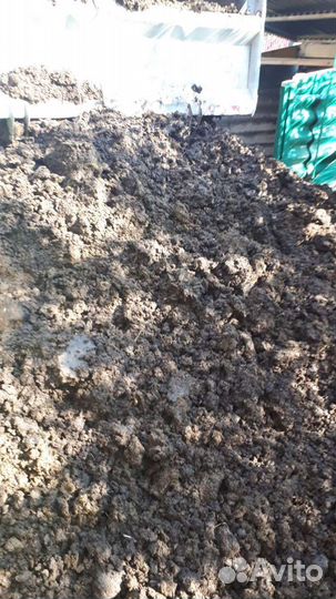 Навоз для удобрения огорода