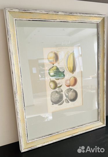 Антикварная ботаническая иллюстрация в раме 4шт