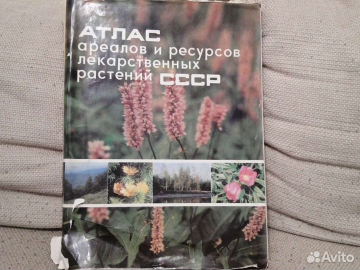Атлас ареалов и ресурсов лекарственных растений СС