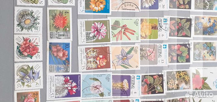 Почтовые марки разных стран