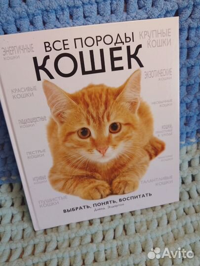 Книга о кошках 