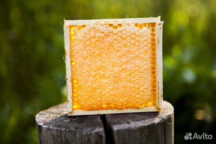 Мед разнотравье