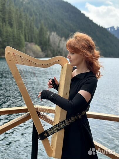 Арфа Harpsicle Rees Harps 26 струн