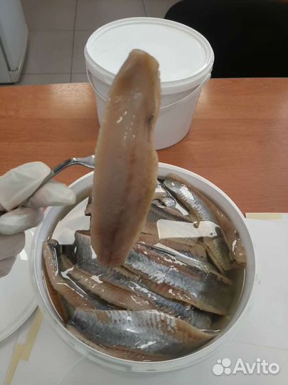 Сельдь филе в масле ведро 4кг