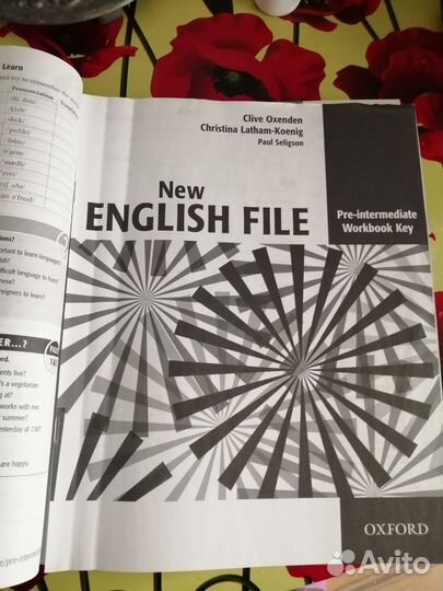 New english file pre intermediate workbook