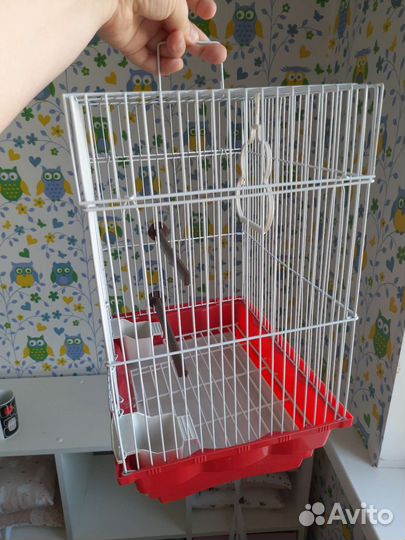 Клетка для попугая