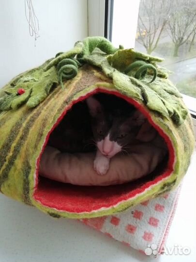 Домик лежанка для кошки в виде арбуза