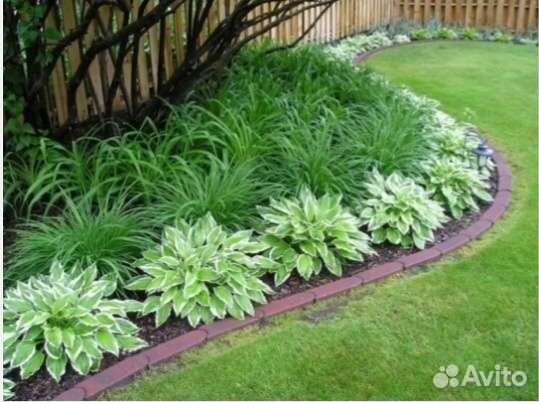 Продаются хосты