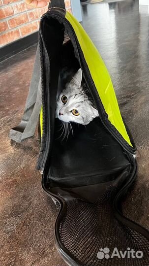 Переноска для животных