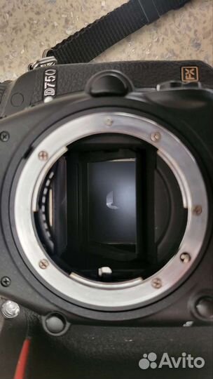 Зеркальный фотоаппарат Nikon D750