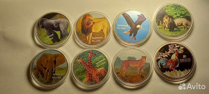 Западная Сахара,Курдистан, Ангилья, Габон