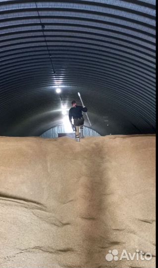 Услуги отбора проб зерна