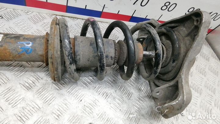 Стойка передняя Audi A4 (B7) III (2004–2007)