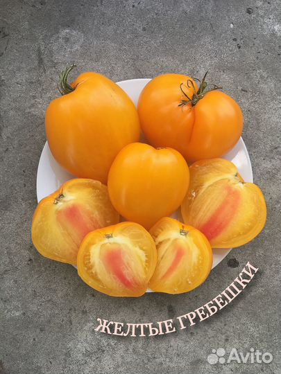 Семена томатов