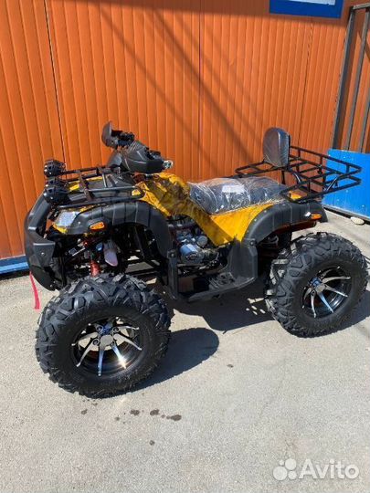 Квадроцикл Grizzly 300cc золотой, кардан