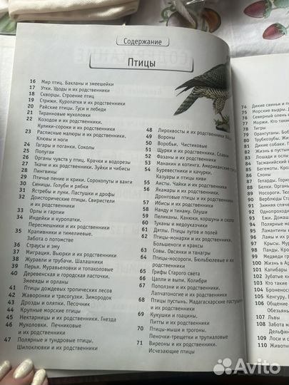 Энциклопедия животные