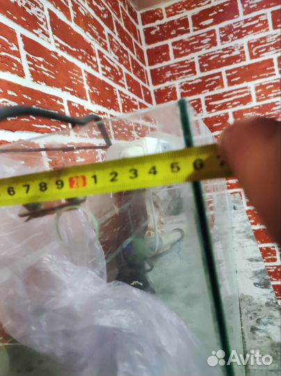 Фитофильтр