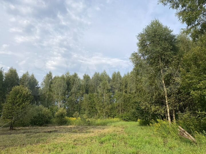 Участок 35 сот. (СНТ, ДНП)