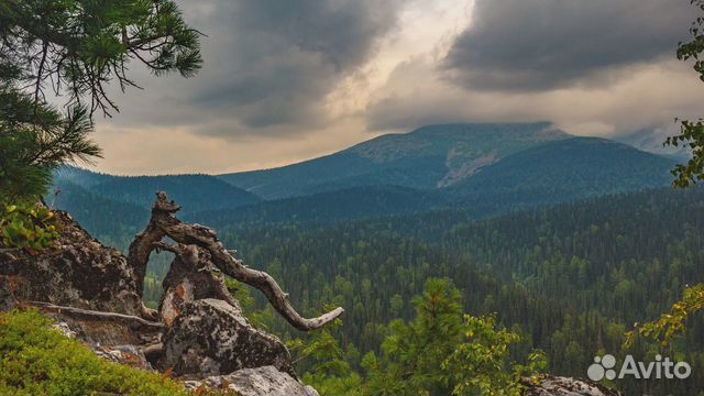 Поднебесные зубья кузбасс фото