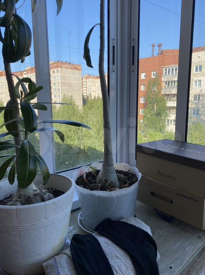 2-к. квартира, 52 м², 7/7 эт.