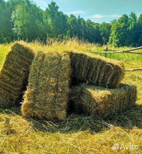 Тюки с доставкой