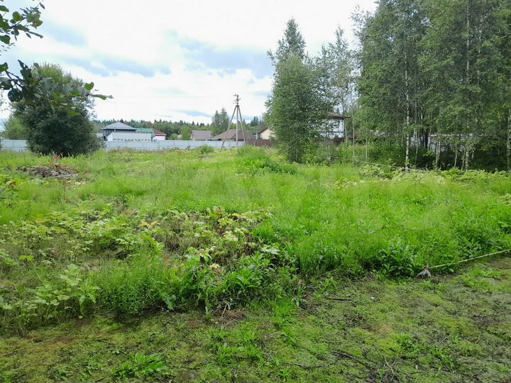 Участок 22,5 сот. (СНТ, ДНП)