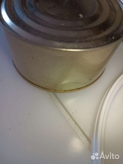 Рыба для котов