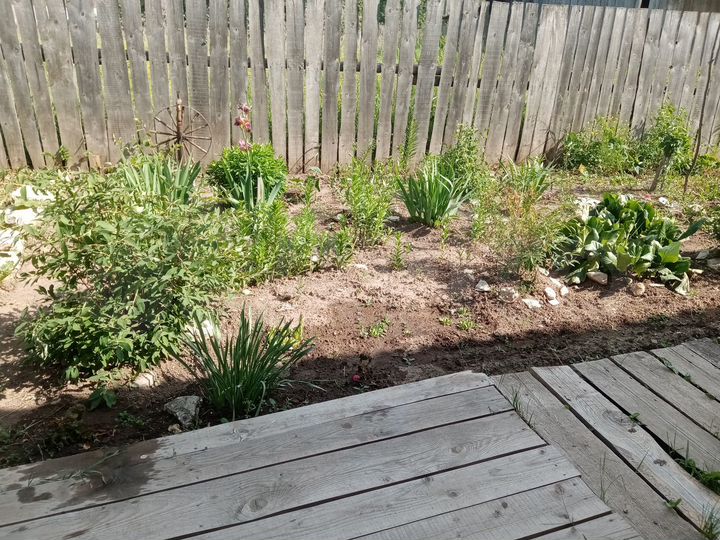 Дом 46 м² на участке 40 сот.