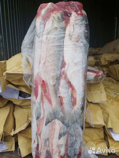 Кета свежемороженая