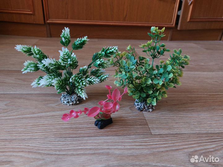 Растения в аквариум 3 шт