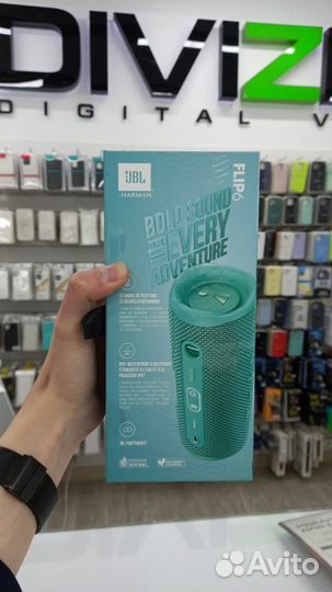 JBL Flip 6 Mint