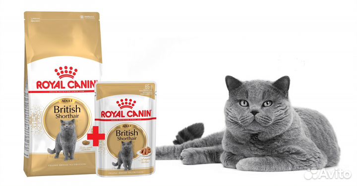 Корм для кошек Royal Canin