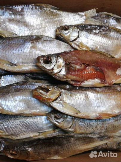 Астраханская вобла