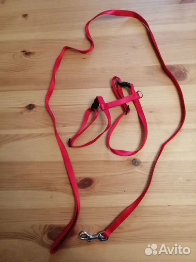 Шлейка и чесалка для кошки